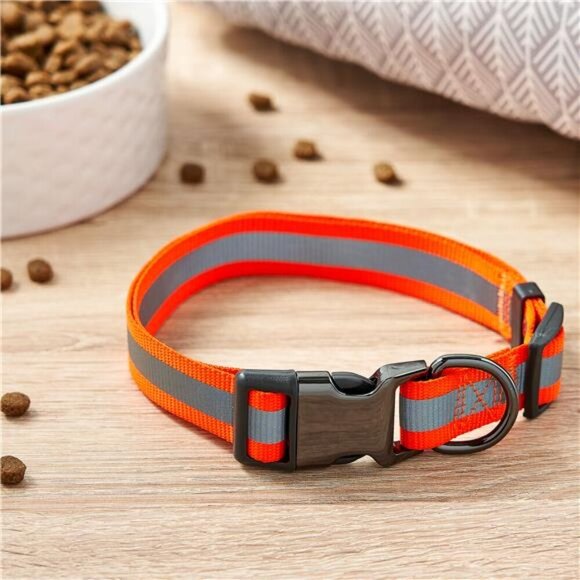 Metal & Nylon Fashion Dog Collar, Orange, Large Size - Picture 4 of 5